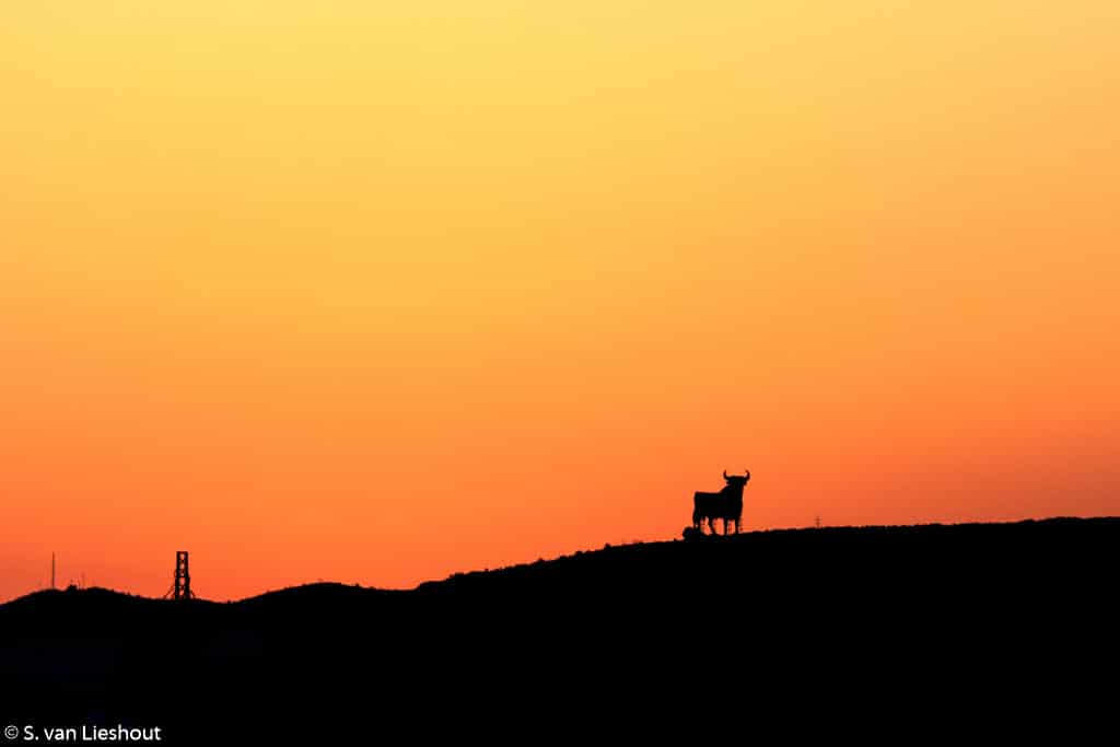 Spain sunset catamaran tour Malaga Alboran Sea